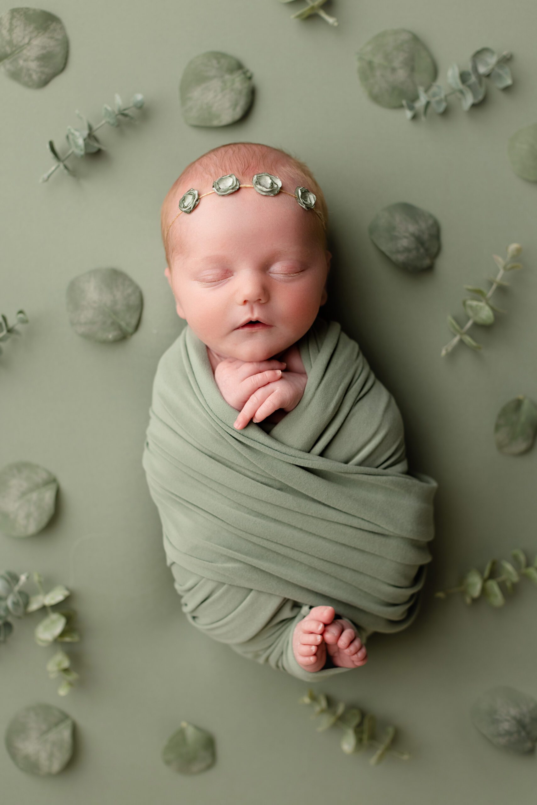 Wrapped newborn baby posed on a sage green backdrop with botanical styling.