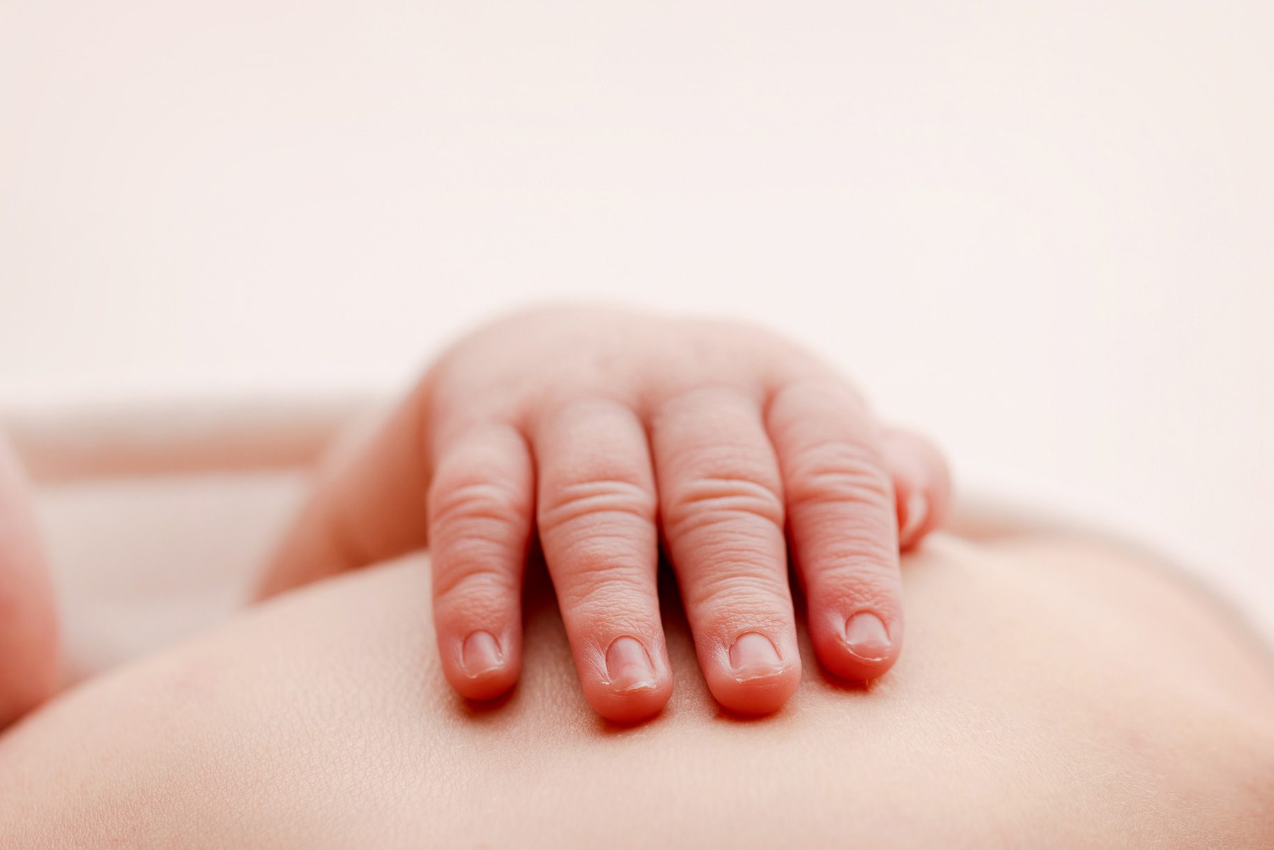 Close-up detail of a newborn baby's tiny hands.